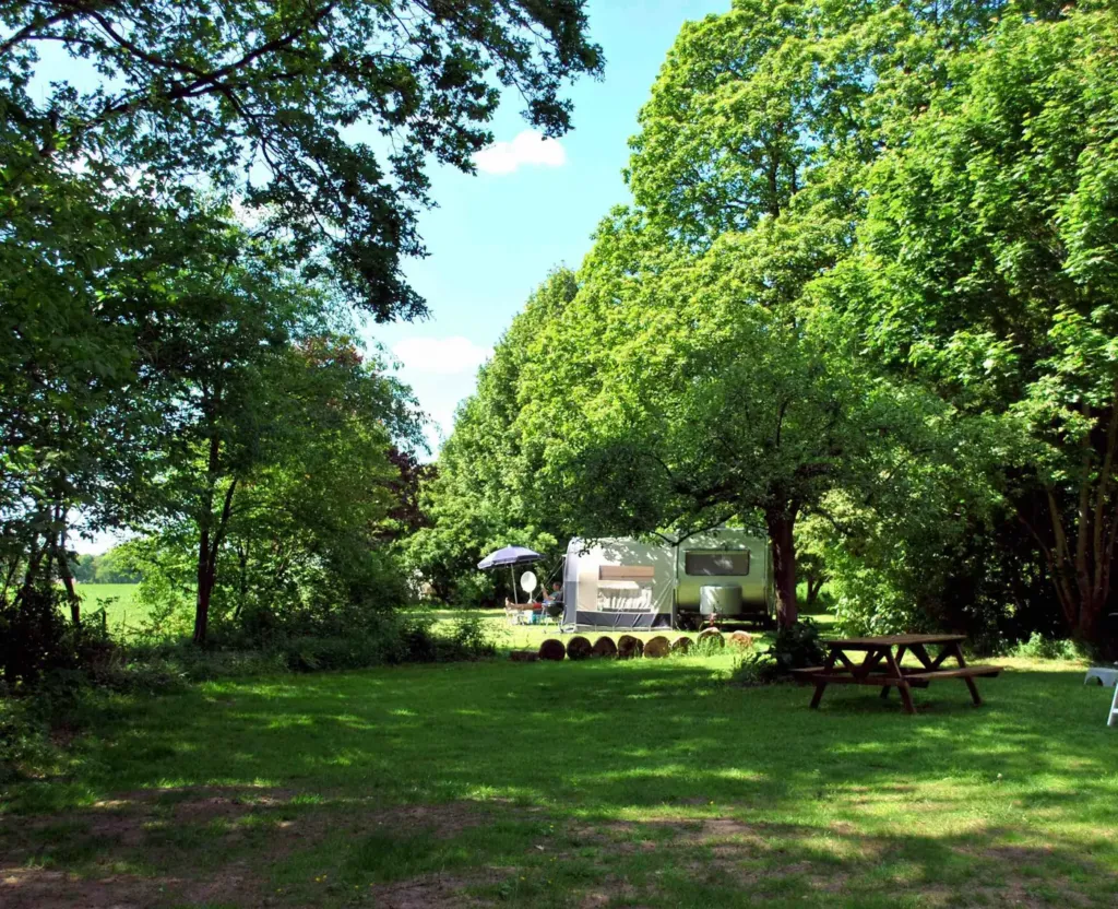 Kampeerveld aan de bosrand met caravans en een picknicktafel