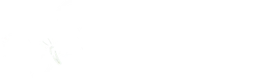 De Bulte, natuurkampeerterrein in Zuidwolde