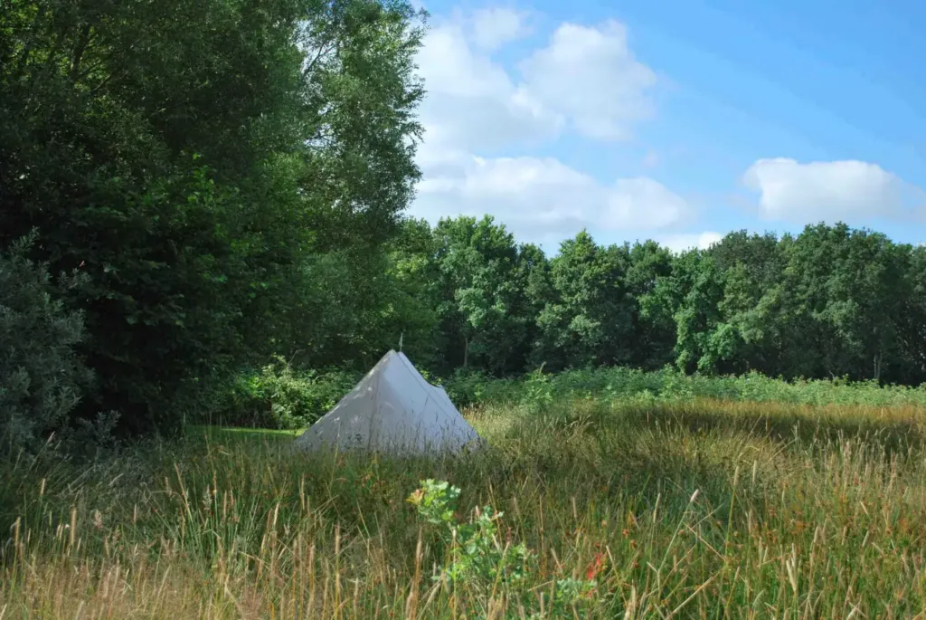 Witte tent aan de rand van een weiland met hoog gras en bosrand